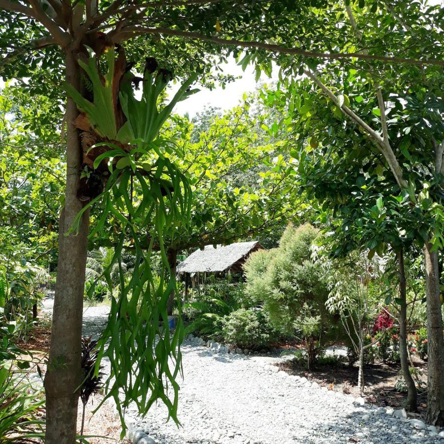 Magpie Homestay & Jungle Trekking Especially For Guest Trekking With Us Bukit Lawang Kültér fotó