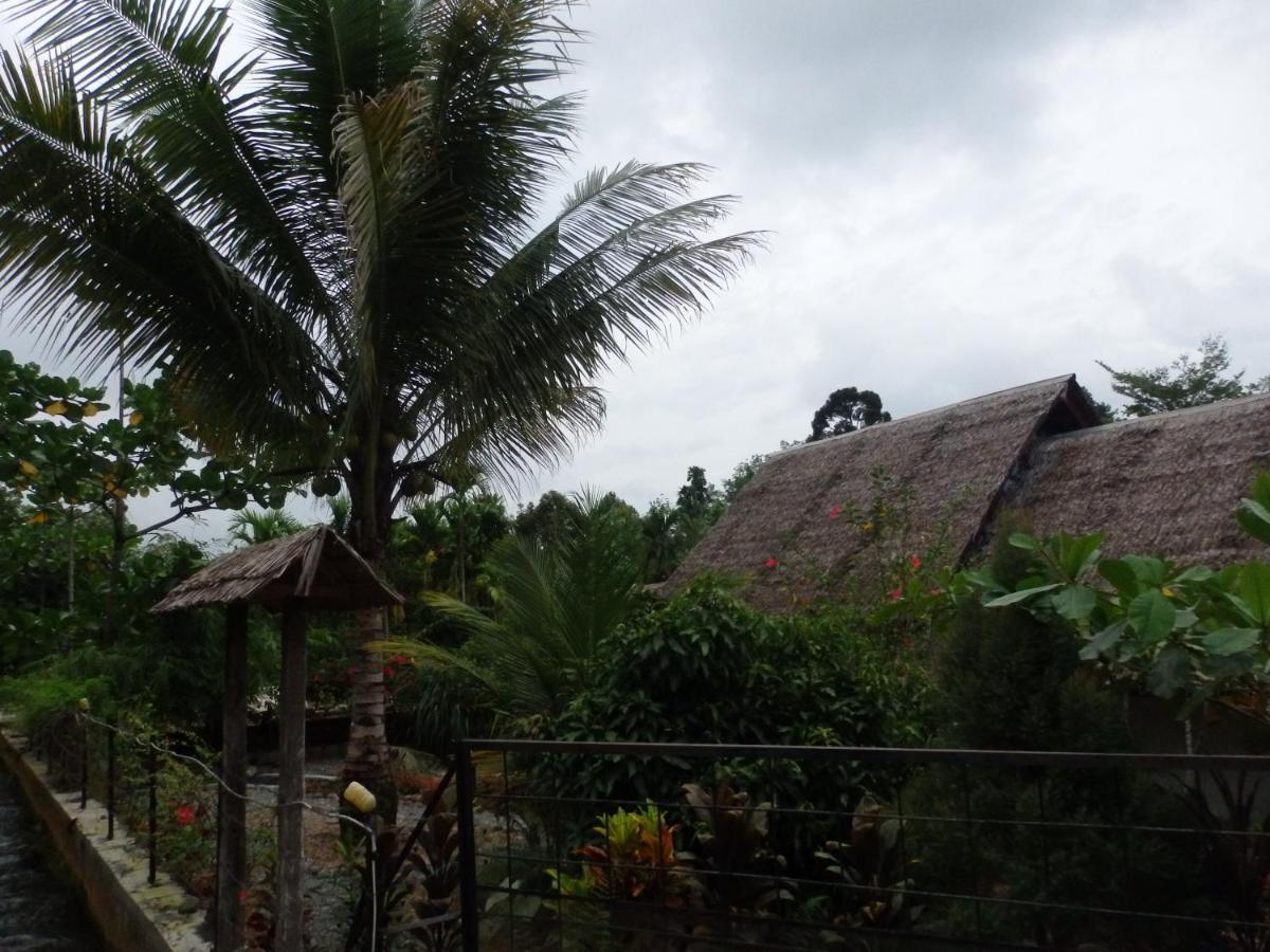 Magpie Homestay & Jungle Trekking Especially For Guest Trekking With Us Bukit Lawang Kültér fotó