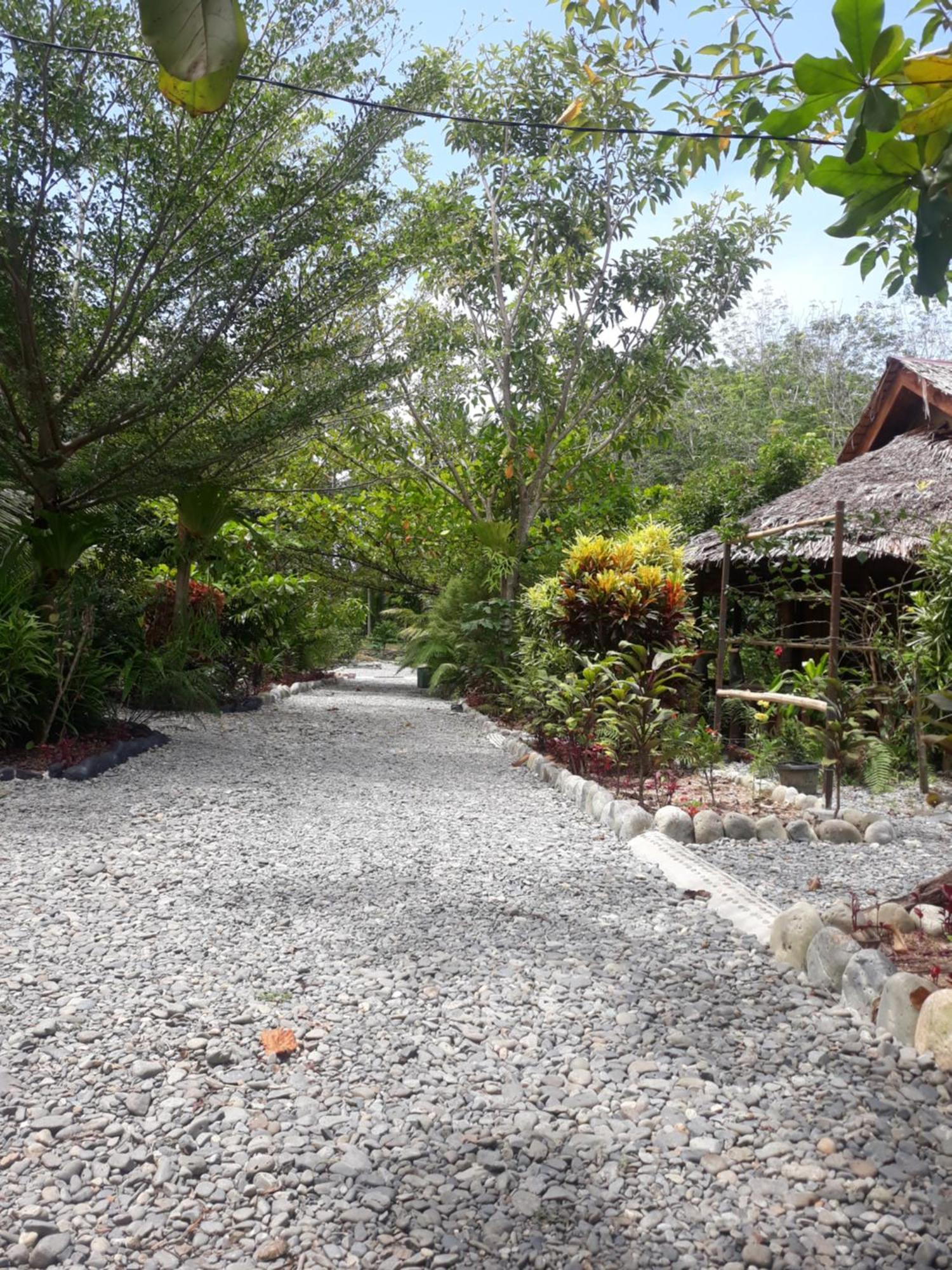 Magpie Homestay & Jungle Trekking Especially For Guest Trekking With Us Bukit Lawang Kültér fotó