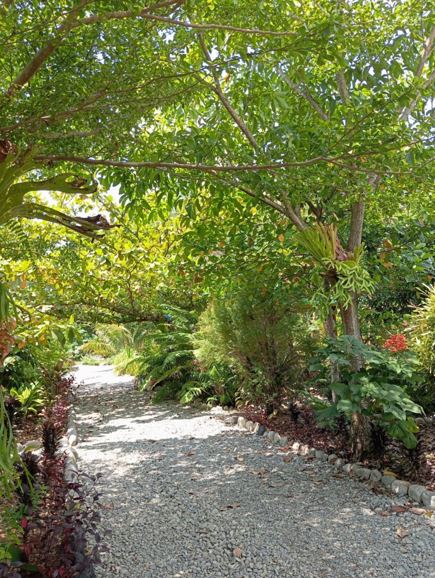 Magpie Homestay & Jungle Trekking Especially For Guest Trekking With Us Bukit Lawang Kültér fotó