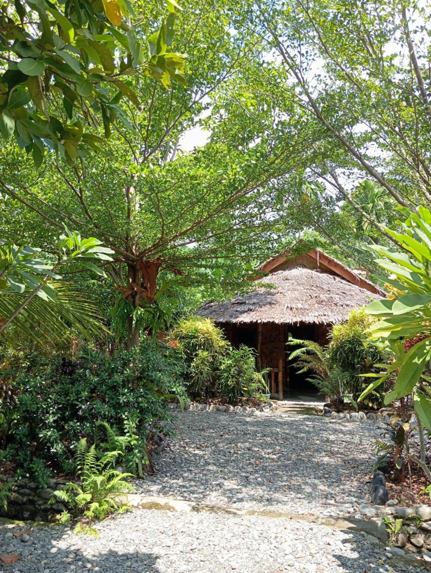Magpie Homestay & Jungle Trekking Especially For Guest Trekking With Us Bukit Lawang Kültér fotó