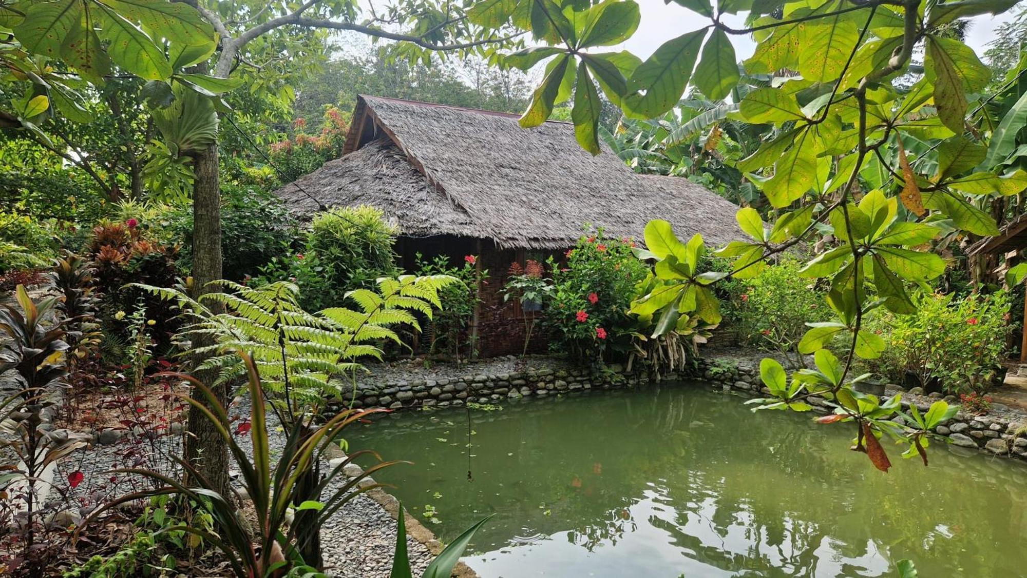 Magpie Homestay & Jungle Trekking Especially For Guest Trekking With Us Bukit Lawang Kültér fotó