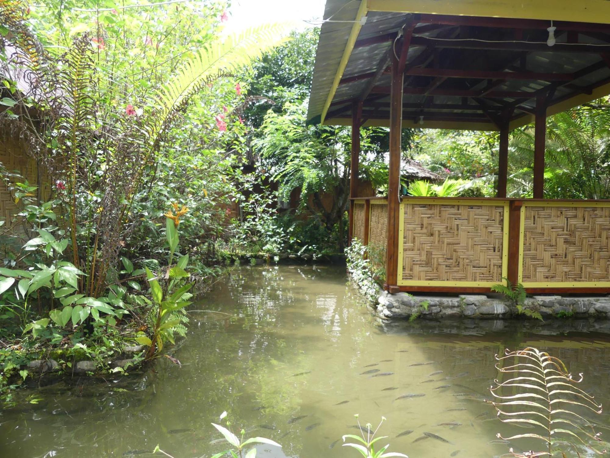 Magpie Homestay & Jungle Trekking Especially For Guest Trekking With Us Bukit Lawang Szoba fotó