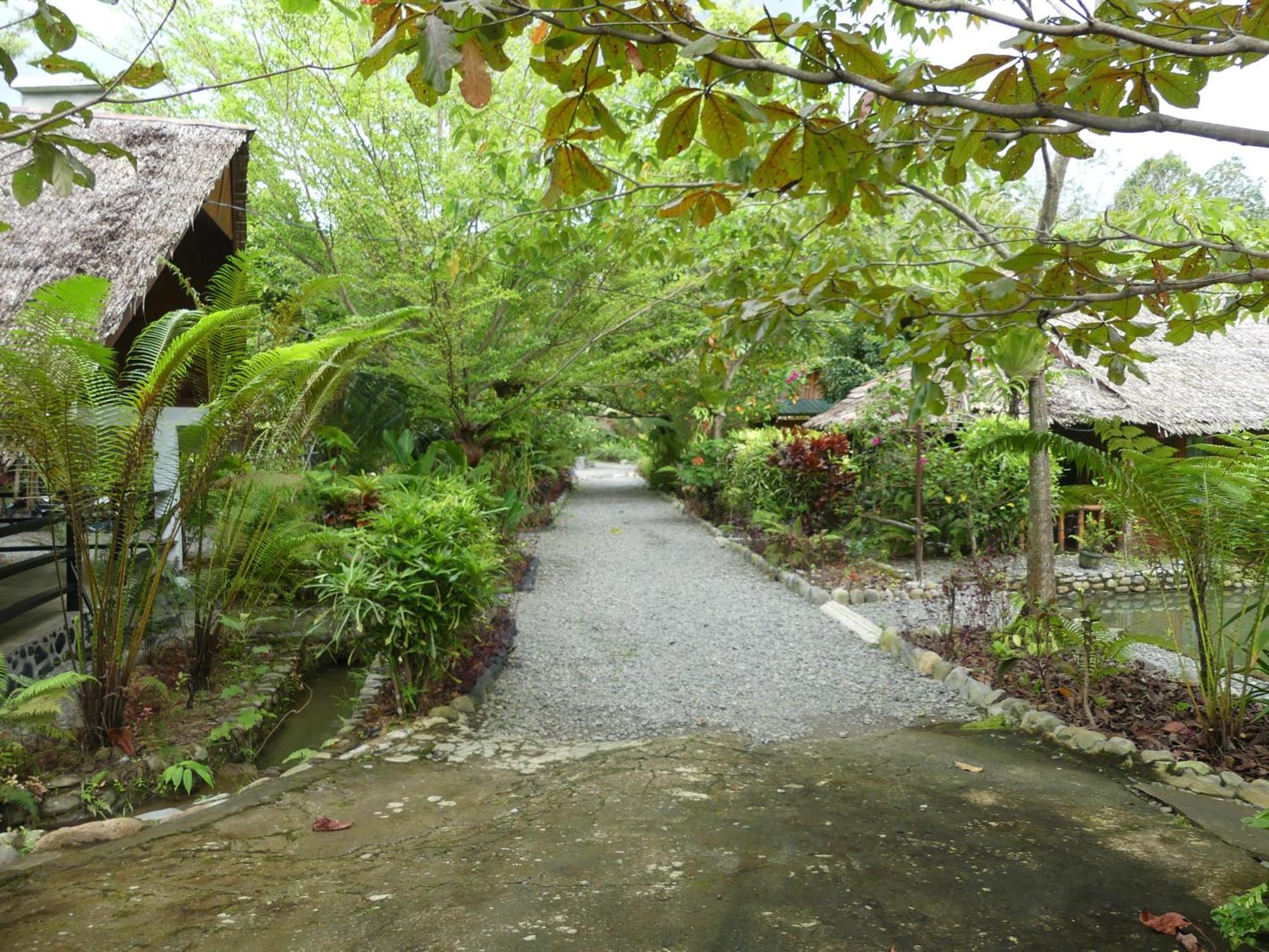 Magpie Homestay & Jungle Trekking Especially For Guest Trekking With Us Bukit Lawang Kültér fotó