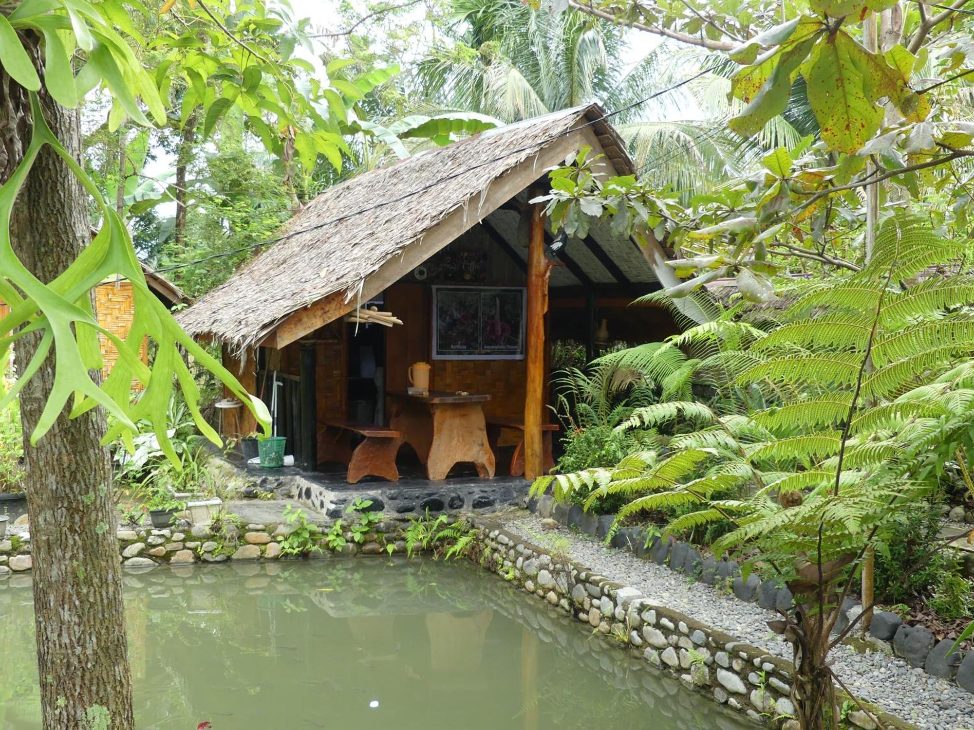 Magpie Homestay & Jungle Trekking Especially For Guest Trekking With Us Bukit Lawang Kültér fotó